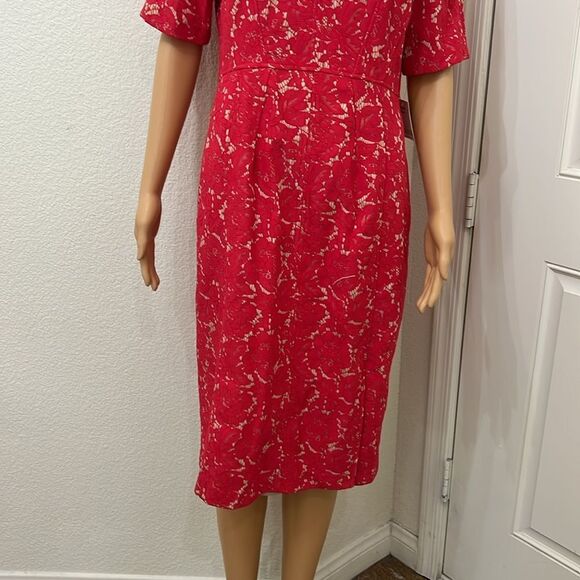 Taylor Elegant Red Floral Lace Dress Scoop Neck Short Sleeve Midi Size 14 New - Picture 5 of 14